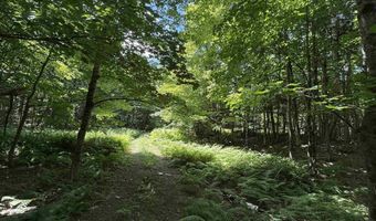392 Sicard Rd, Brookfield, VT 05036