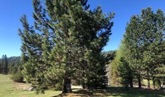 9606 Packer John Rd, Cascade, ID 83611