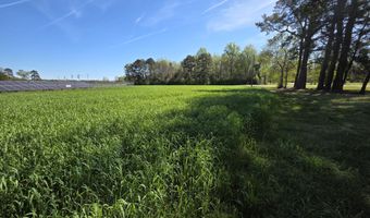 N Nc 111 And 903 Hwy, Albertson, NC 28508