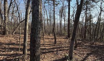 OLD STONY RIDGE RD lot 7, Afton, VA 22920