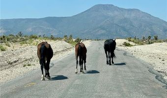 159 Eagle Nest Cir, Cold Creek, NV 89124