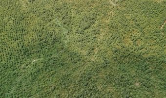 Copeland Ridge Road, Arkadelphia, AR 71923