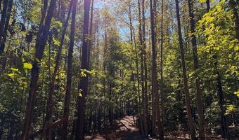 0 Coleman Mountain Rd, Appomattox, VA 24522