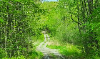Pleasent Pond Road lot 6, Atkinson, ME 04426