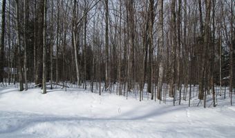 11190 Hassler Woods Trl, Alanson, MI 49706
