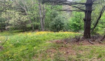Tbd Old Hartley Road, Banner Elk, NC 28604