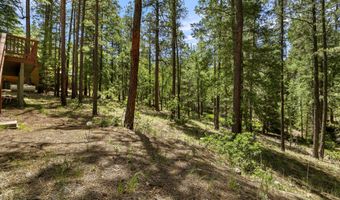 12 CR 2044, Alpine, AZ 85920
