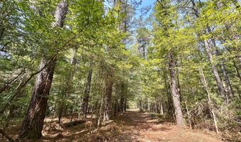 3 Champion Hill Rd, Bolton, MS 39041