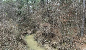 St. Johns Road, Braxton, MS 39044
