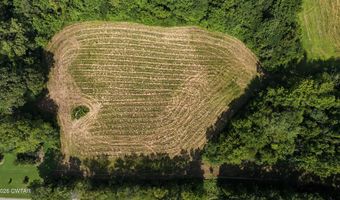 Poplar Springs Road, Atwood, TN 38220