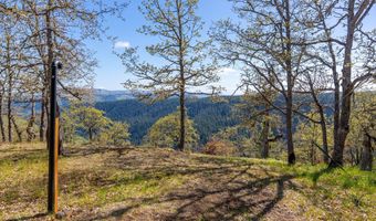 350 BREWER Rd, Appleton, WA 98602