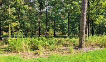 12730 Weatherly Switch Rd, Apison, TN 37302