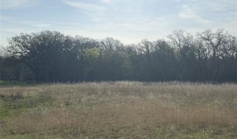 330 Rolling Ranch Blvd, Alvord, TX 76225