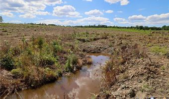 Diana Mill Road, Arvonia, VA 23004