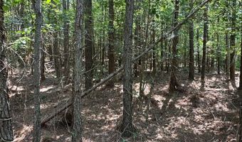 0 Highway 140 Tract D NW, Adairsville, GA 30103