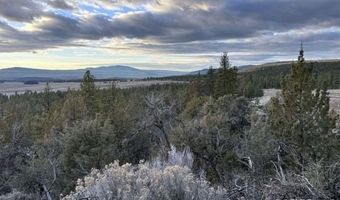 Prarie Dog Drive, Bonanza, OR 97623