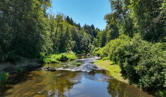 10090 HIGHWAY 202, Birkenfeld, OR 97016