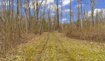 2828 Lakeshore, Applegate, MI 48401