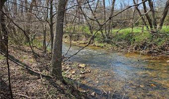 1827 Willis Gap Rd 104, Ararat, VA 24053