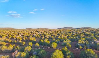 N SIX SHOOTER TRL 20 ACRES, Ash Fork, AZ 86320