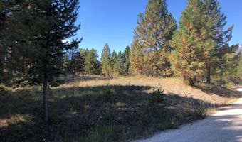 1909 Gold Dust Rd 60, Cascade, ID 83611