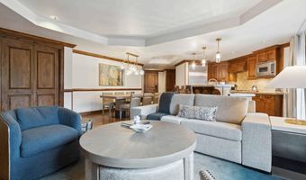 415 E Dean St Unit 38 Week 33, Aspen, CO 81611