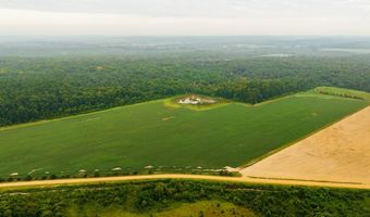 1037 Cr 300, Big Creek, MS 38914