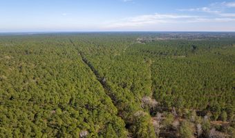527 Forest Service Rd, Apple Springs, TX 75926