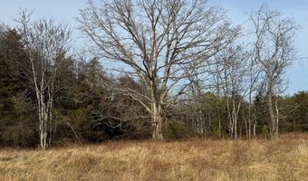 Watt Abbitt Road, Appomattox, VA 24522
