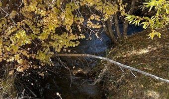 700 Davis Meadow Trl, Dyer, NV 89010