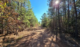 TBD Raw Land, Bates, AR 74953