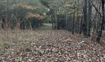 11 Acres RISER MILL ROAD Lot 11 Acres, Alpine, AL 35014
