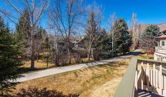 2003 Arbor Park Dr 1-B, Basalt, CO 81621