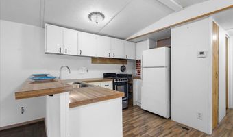 3100 NW 20th St, Bell, FL 32619