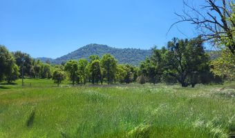 10093 Bailinquick Rd, Angels Camp, CA 95222