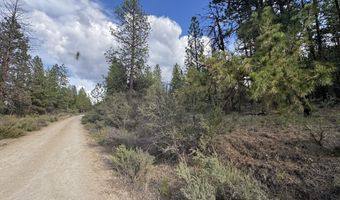 0 Partin Dr 6, Beatty, OR 97621