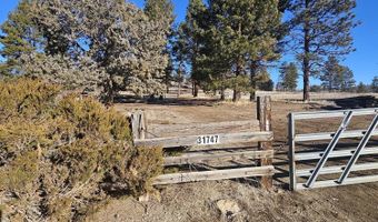 31747 Godowa Springs Rd, Beatty, OR 97621