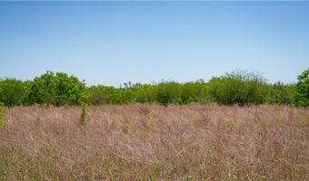 Fm-735, Alice, TX 78332