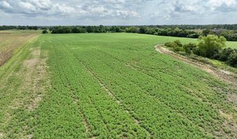 290 CR, Asbury, MO 64832