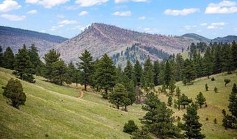 7267 Olde Stage Rd, Boulder, CO 80302