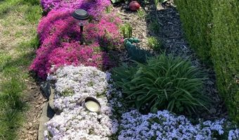 1705 Tyler Ave, Aurora, MO 65605