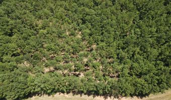 Lot 6 Lighthouse Point, Lincolnton, GA 30817