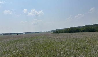 8688 Miller Rd, Alanson, MI 49706