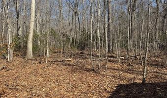 Tbd Brookstone Road, Bastian, VA 24314