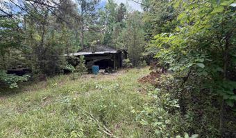 1420 Plametto Rd, Sparkman, AR 71763