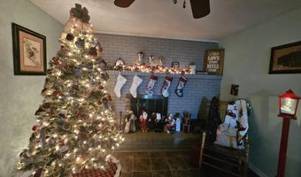 406 NE 6TH, Atkins, AR 72823