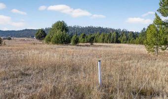 10201 Packsaddle Rd, Cascade, ID 83611