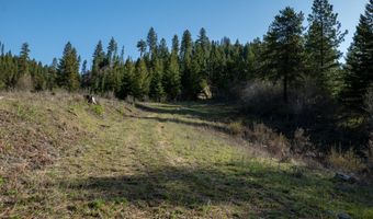 NKA 262 Ac N Side Rd, Calder, ID 83808