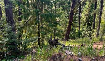 459 Collier Vw, Cascade, ID 83611