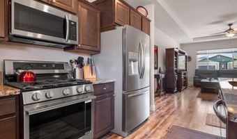 1146 Cheatgrass Dr, Dayton, NV 89403